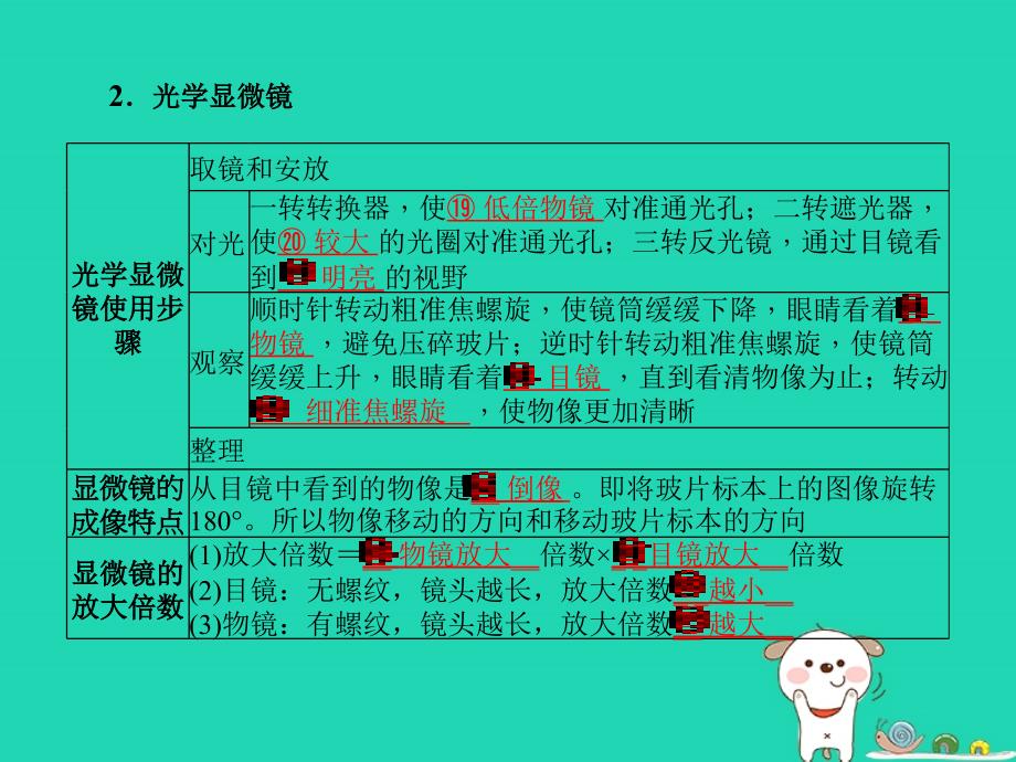 （聊城专版）2018年中考生物 第一部分 系统复习 成绩基石 第二单元 第1章 细胞是生命活动的基本单位课件_第3页