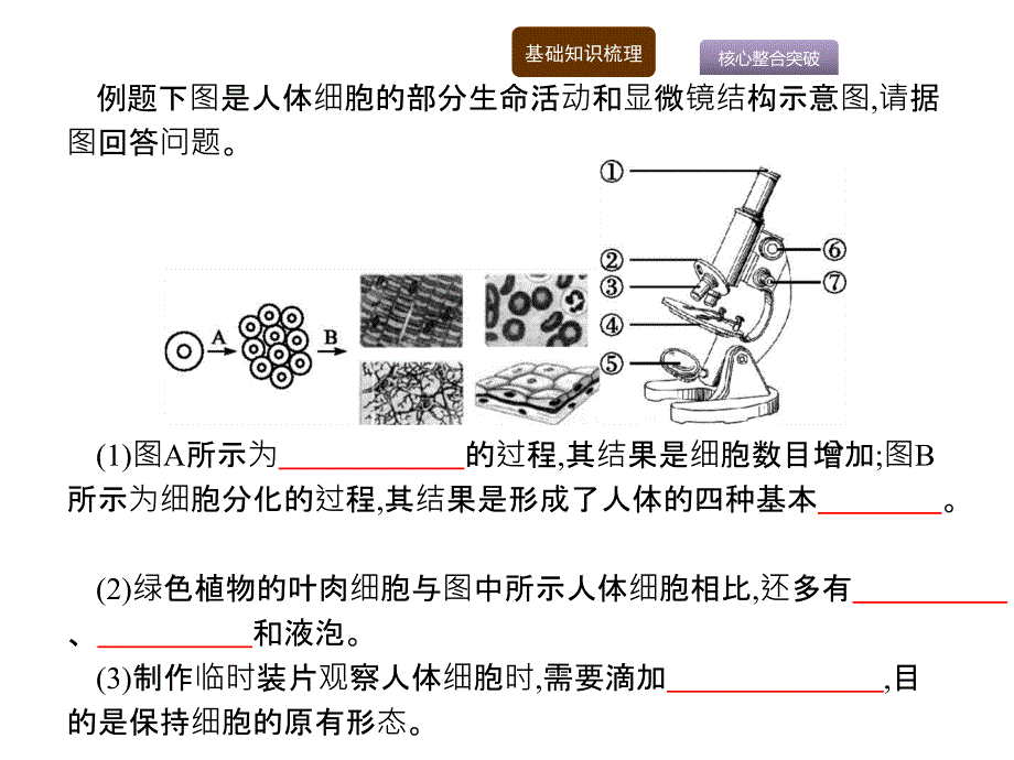 海南省2018年中考生物（课标）复习课件：第二编 能力素养提升 专题2_第4页