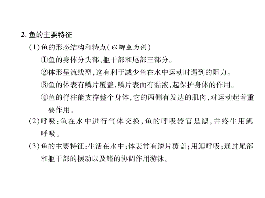 2018秋人教版八级生物上册练习课件：第5单元第1章第4节  鱼_第2页