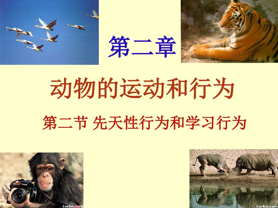 2017-2018学年（人教版）八年级生物上册课件：5-2-2先天性行为和学习行为_第1页