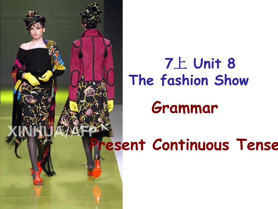 2017秋牛津译林版七年级英语上册课件：unit 8 fashion grammar_第1页