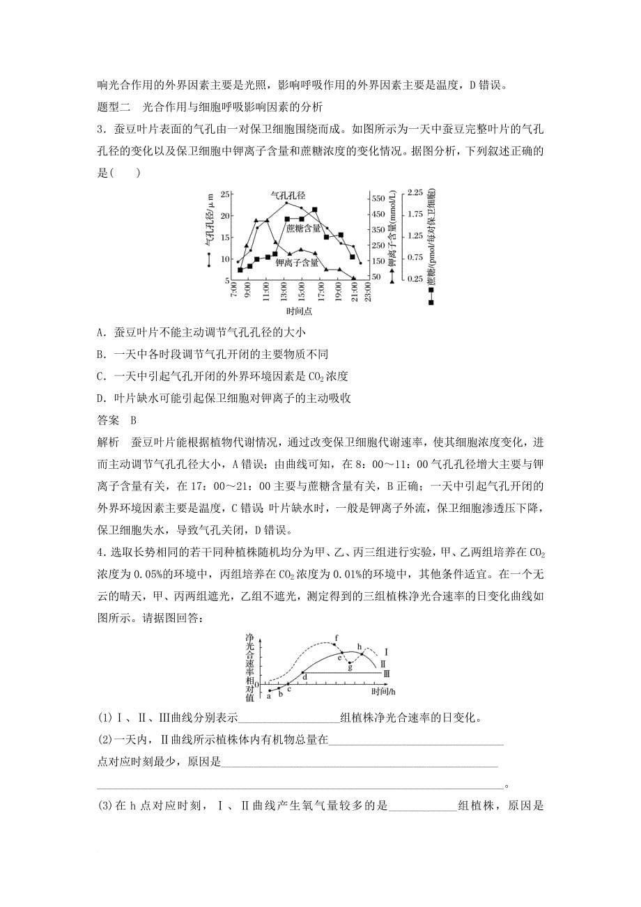 高考热点专题一 光合作用与细胞呼吸的章分析学案 新人教版_第5页