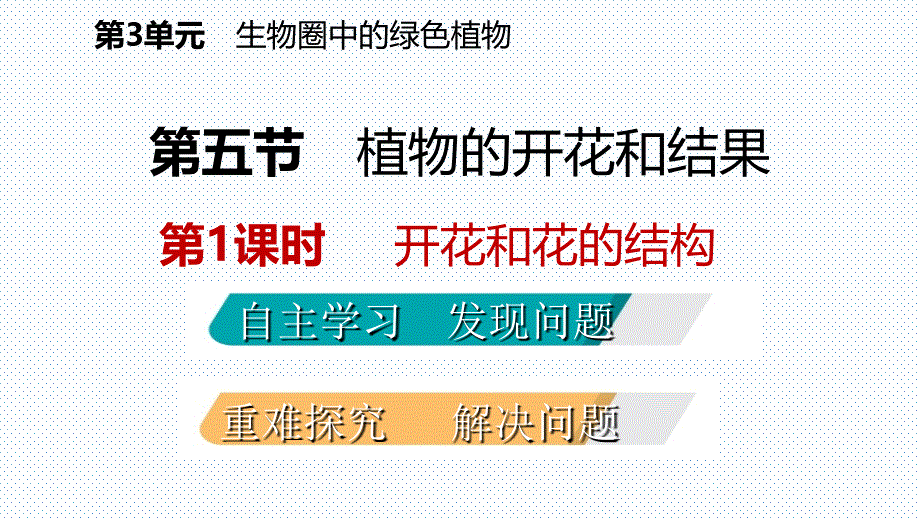 2018秋苏教版七年级生物上册同步导学课件：第五章第五节第1课时 开花和花的结构_第2页