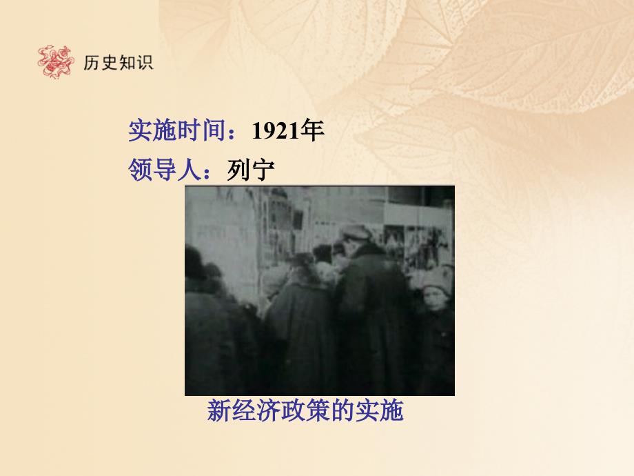 九年级历史下册 第1单元 苏联社会主义道路的探索 2 对社会主义道路的探索课件 新人教版_第4页