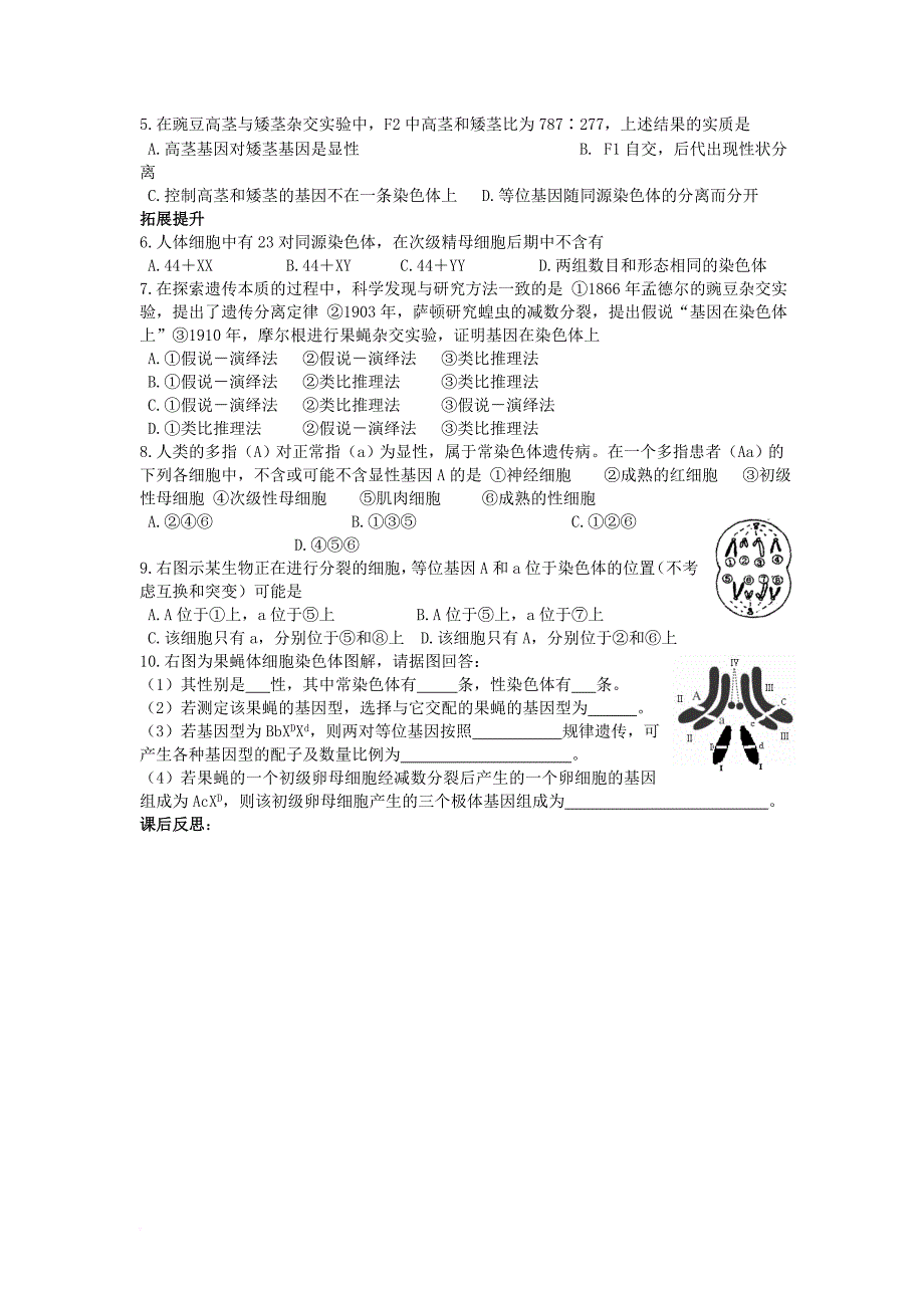 江苏省江阴市高中生物第2章基因和染色体的关系2_2基因在染色体上教案新人教版必修2_第4页