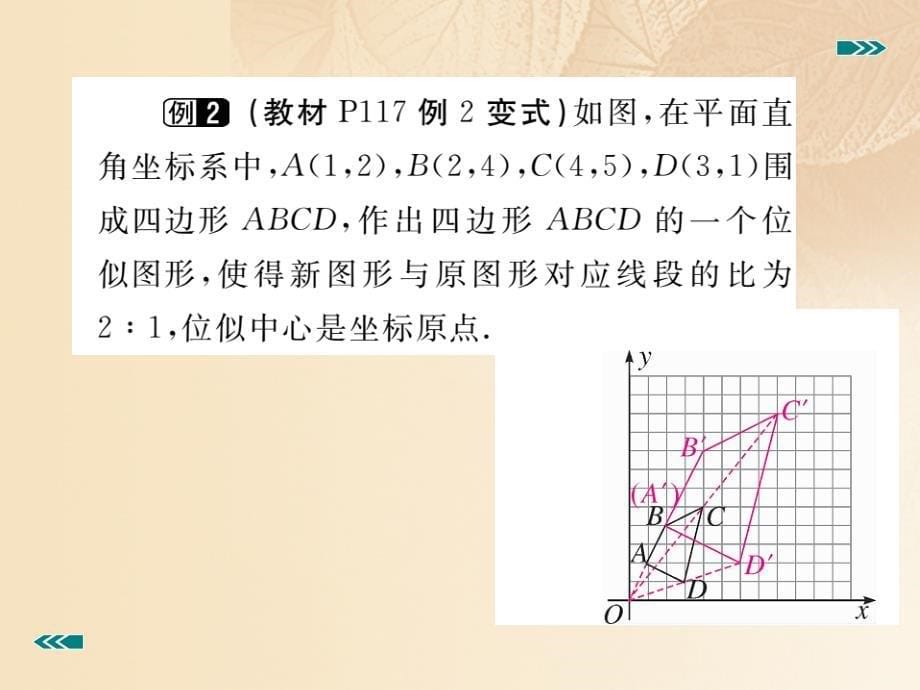 九年级数学上册 4_8 图形的位似 第2课时 平面直角坐标系中的位似变换讲练课件 （新版）北师大版_第5页