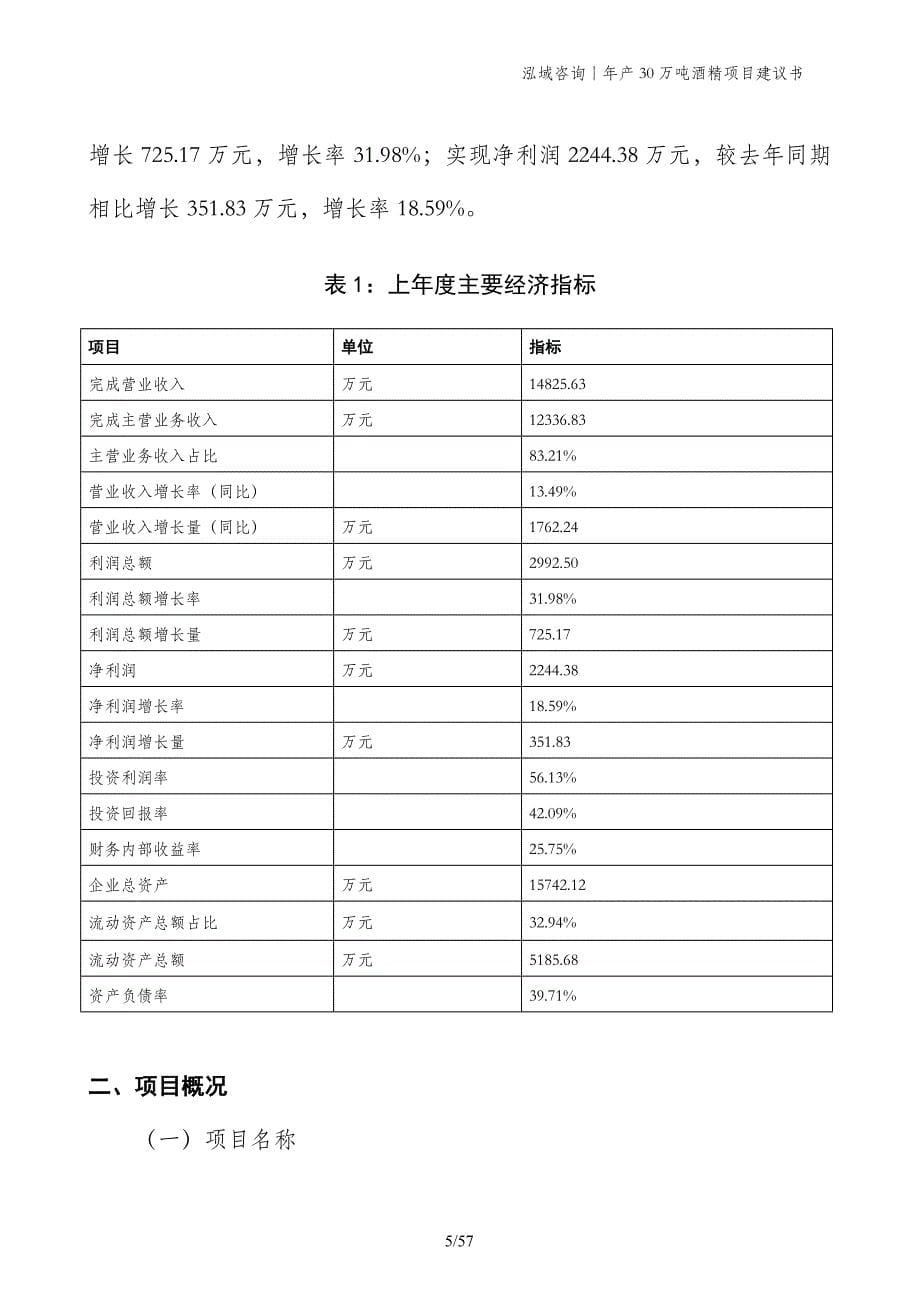 年产30万吨酒精项目建议书_第5页