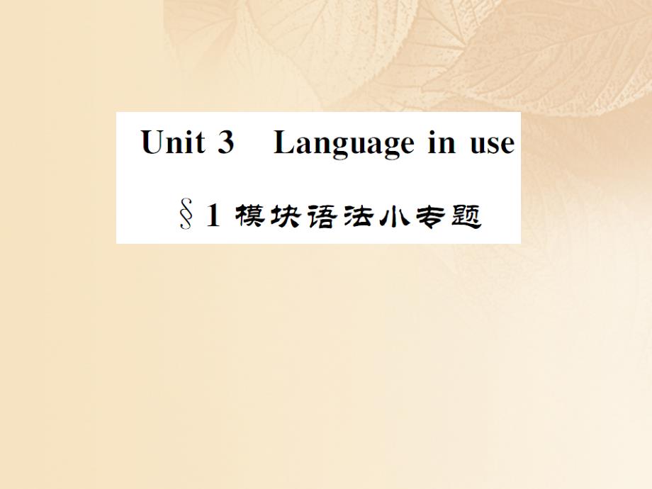 九年级英语上册 module 2 public holidays unit 3 language in use 1模块语法小专题课件 （新版）外研版_第1页