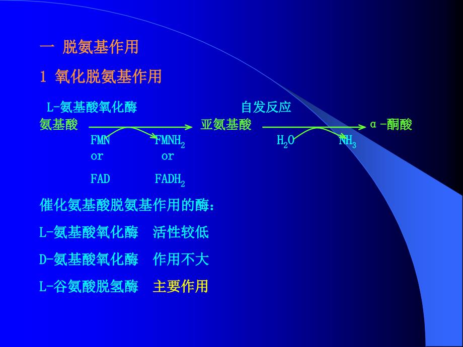 生化（氨基酸代谢）_第3页