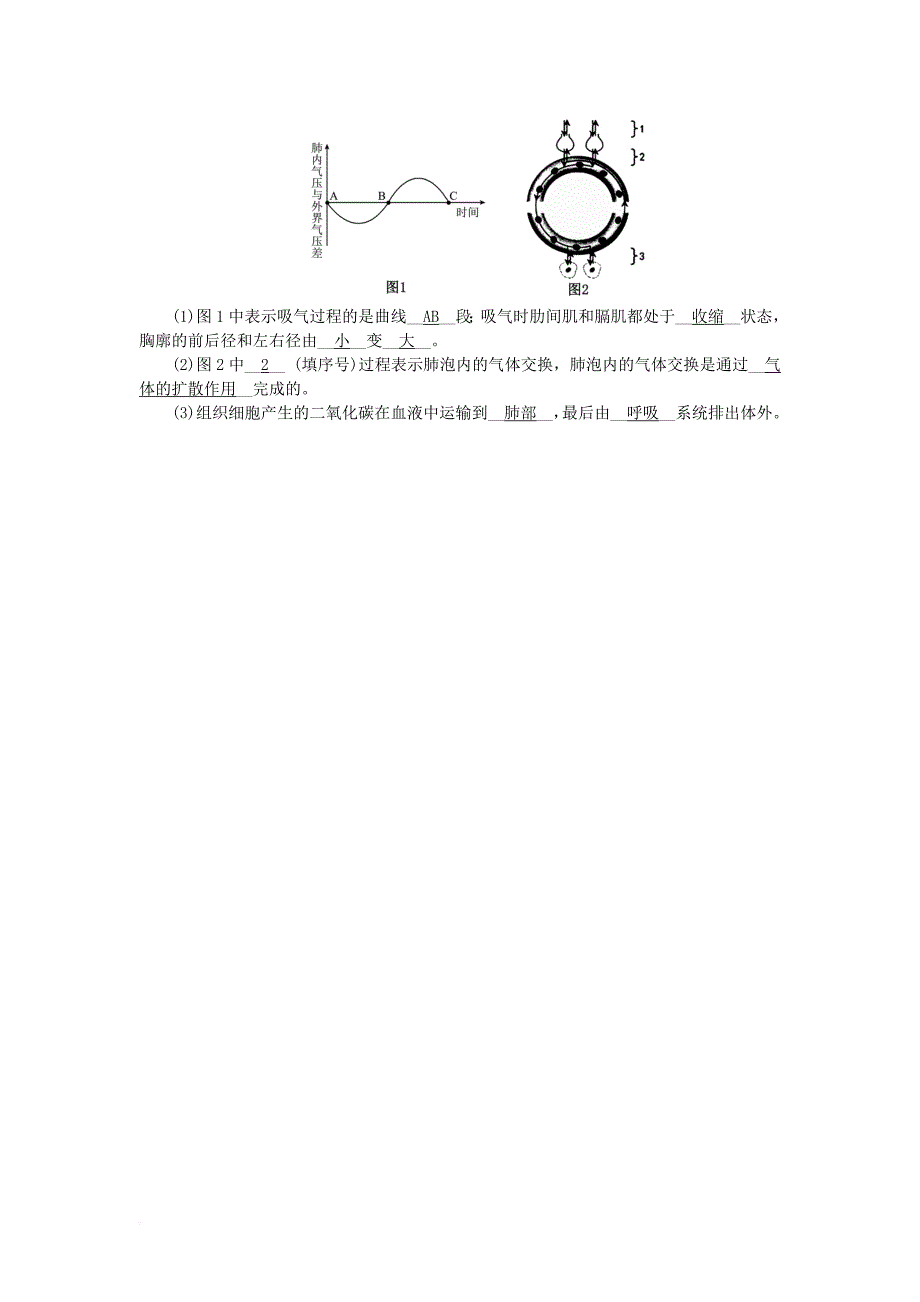 2018届中考生物第12讲人体的呼吸复习练习_第4页