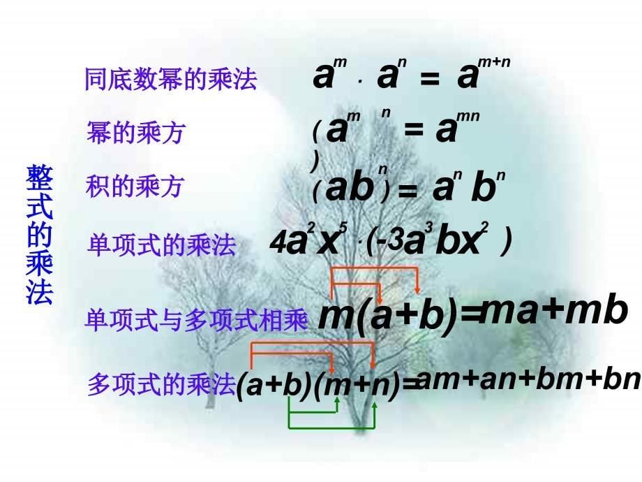 八年级数学上册 12_2 整式的乘法教学课件 （新版）华东师大版_第5页