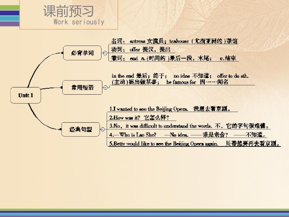 八年级英语上册 module 5 unit 1 i wanted to see the beijing opera课时作业课件 （新版）外研版_第4页