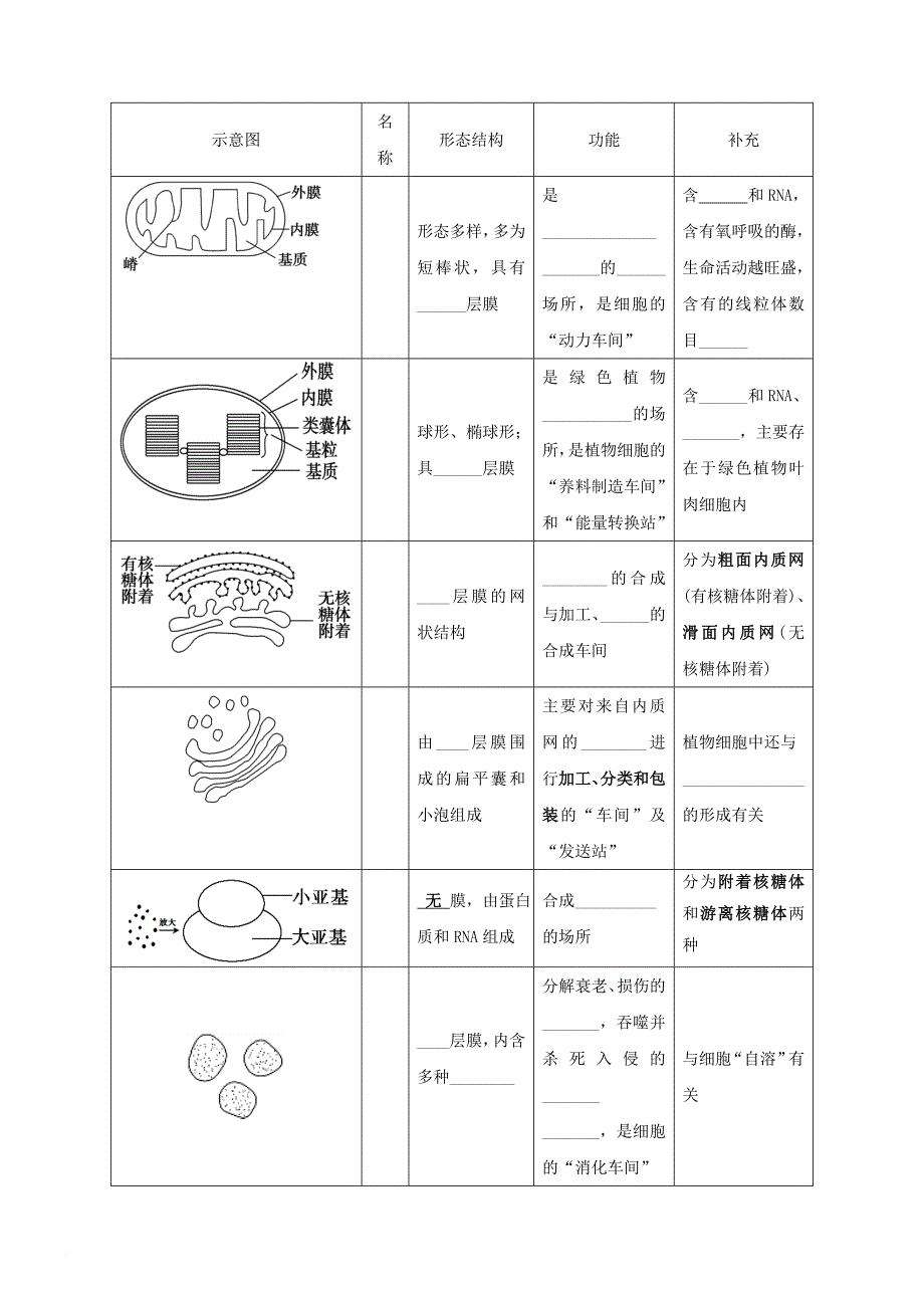 高中生物 第三章 细胞的基本结构 3_2 细胞器-系统内的分工合作学案1 新人教版必修11_第3页