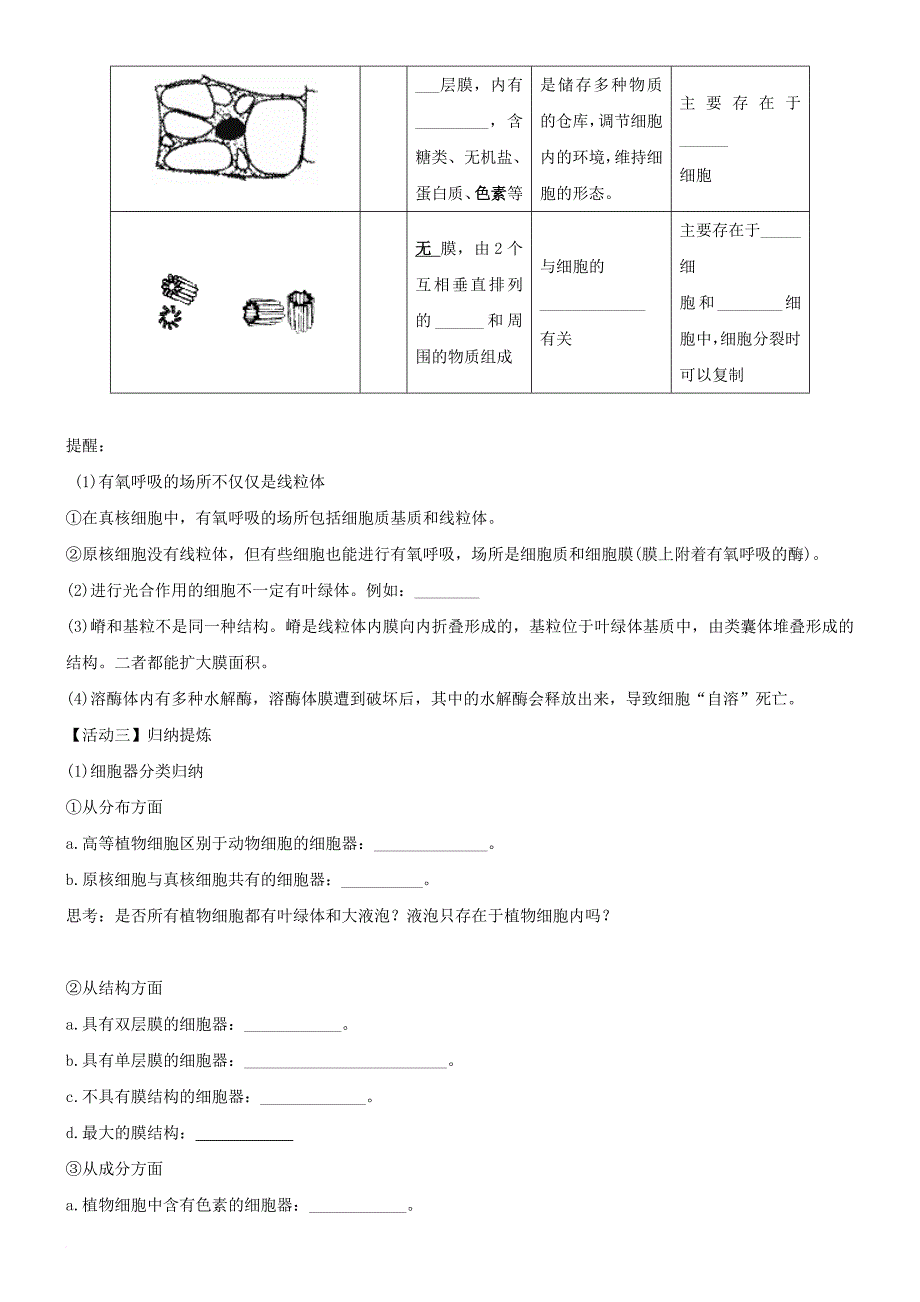 高中生物 第三章 细胞的基本结构 3_2 细胞器-系统内的分工合作学案1 新人教版必修11_第4页