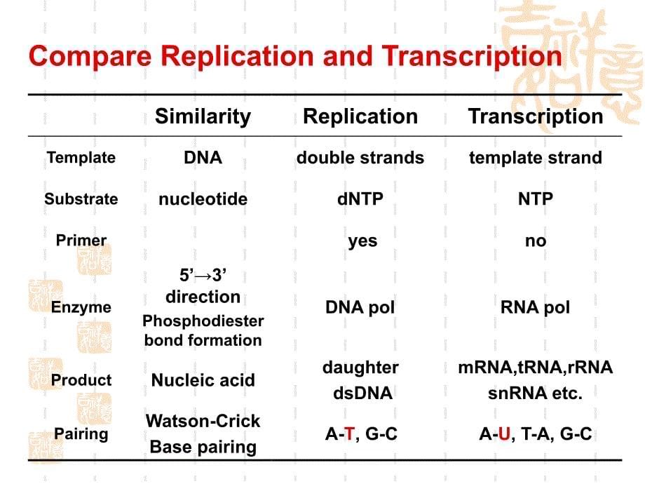 生化课件+5+rna+biosynthesis+2017_第5页