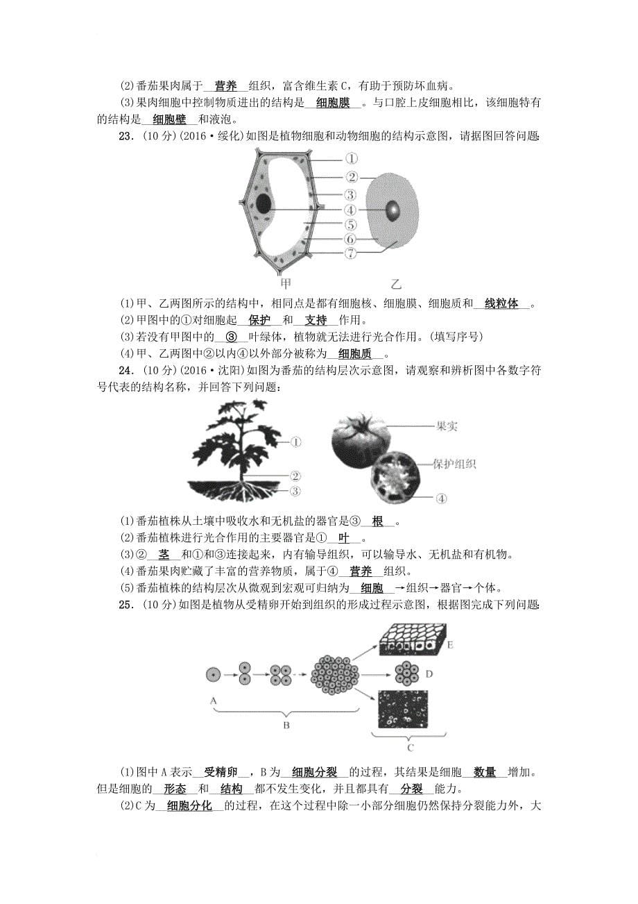 七年级生物上册 第二单元 生物体的结构层次检测题 （新版）新人教版_第5页