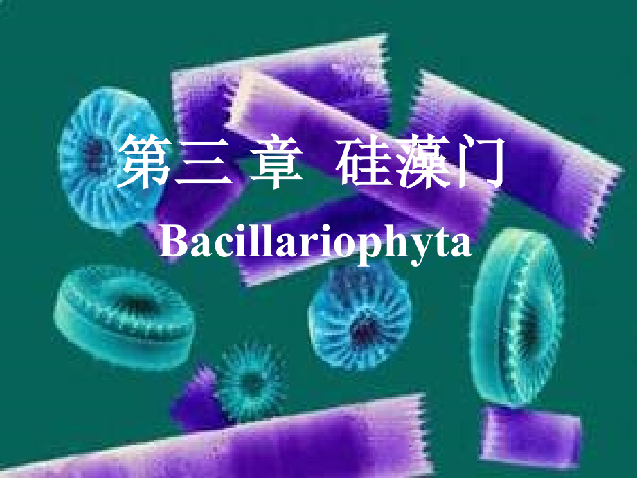 第三章 硅藻门_第1页