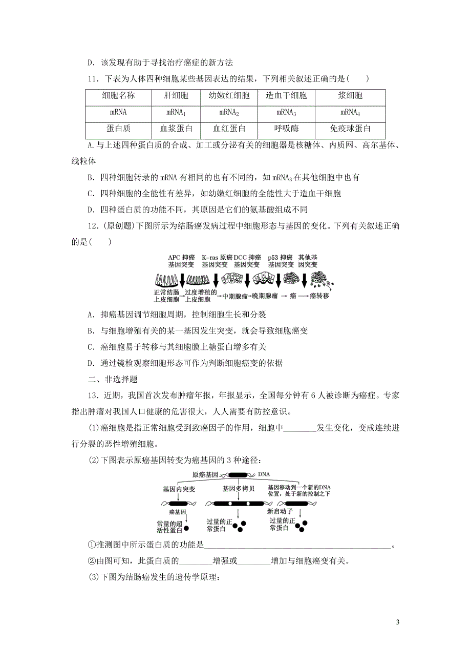 2016届高三生物一轮复习 第四单元 第四讲 细胞的分化、衰老、凋亡和癌变课时跟踪检测 新人教版必修1_第3页