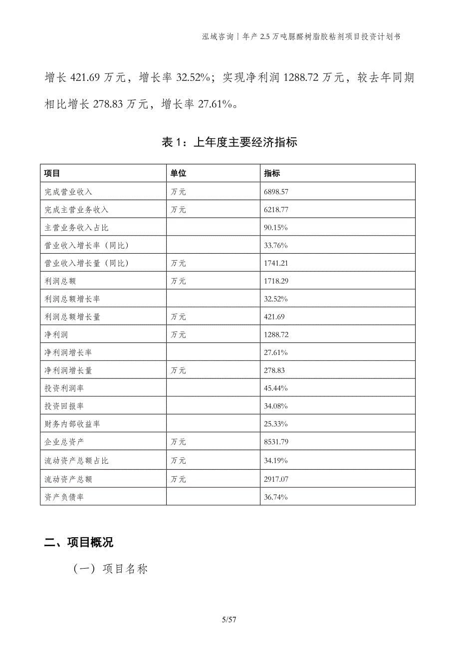 年产2.5万吨脲醛树脂胶粘剂项目投资计划书_第5页