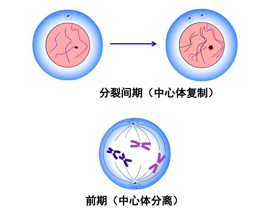 南京卷评讲_第1页