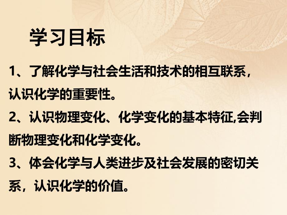 九年级化学上册 第1单元 步入化学殿堂 1_1 化学真奇妙课件2 （新版）鲁教版_第2页