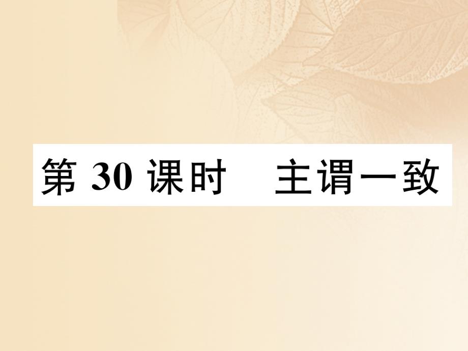 中考英语特训总复习 第二部分 语法专题突破篇 第30课时 主谓一致（精练）课件_第1页