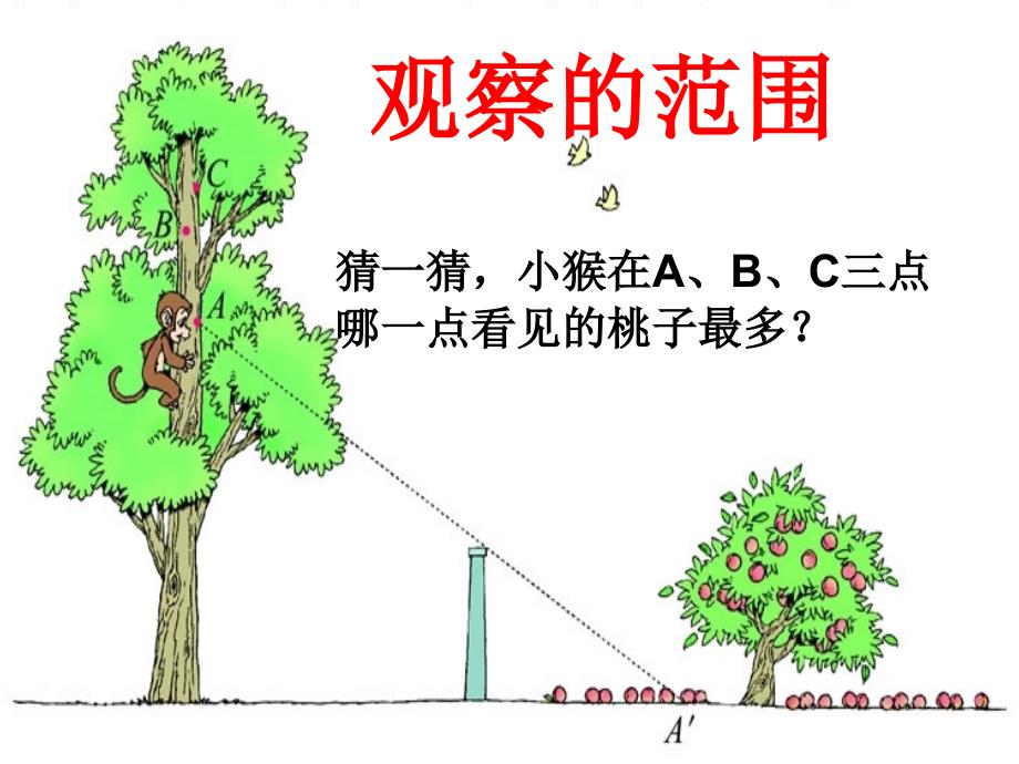 六年级数学上册 第三单元 观察的范围课件2 北师大版_第4页