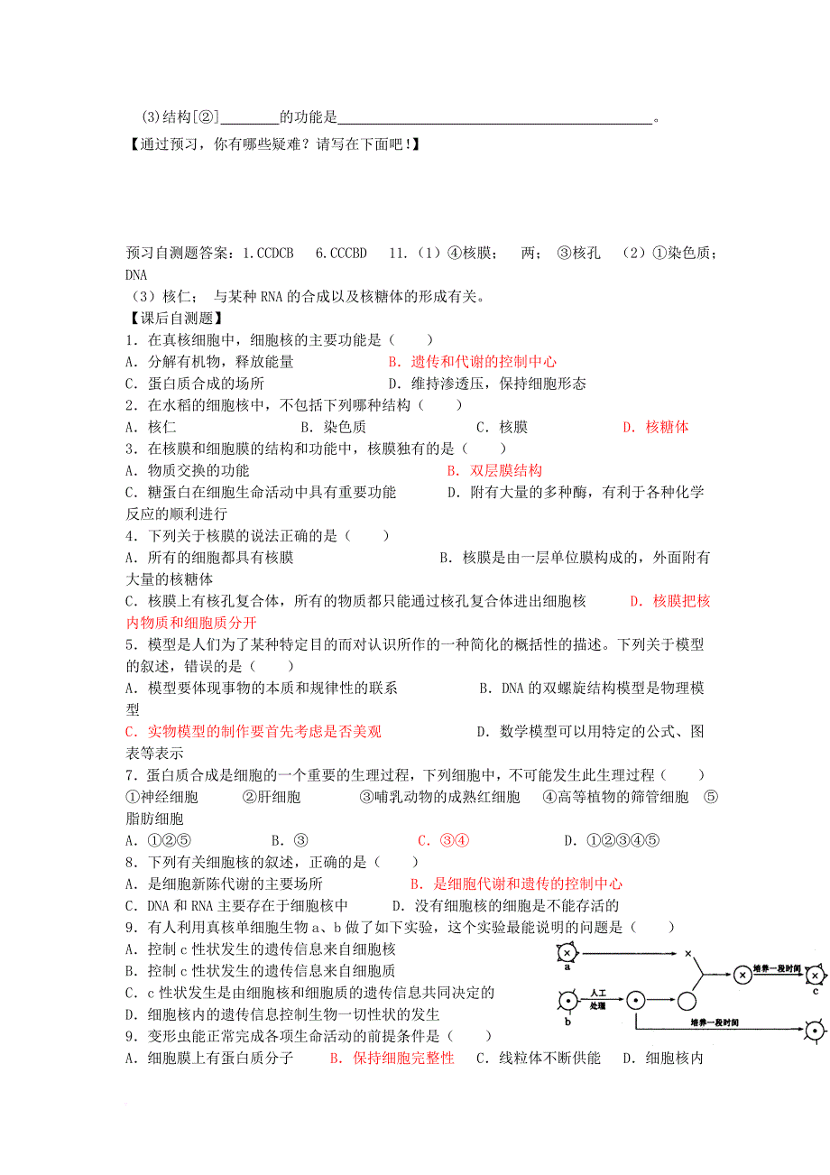 高中生物 第三章 细胞的基本结构 第三节 细胞核导学案 新人教版必修_第3页