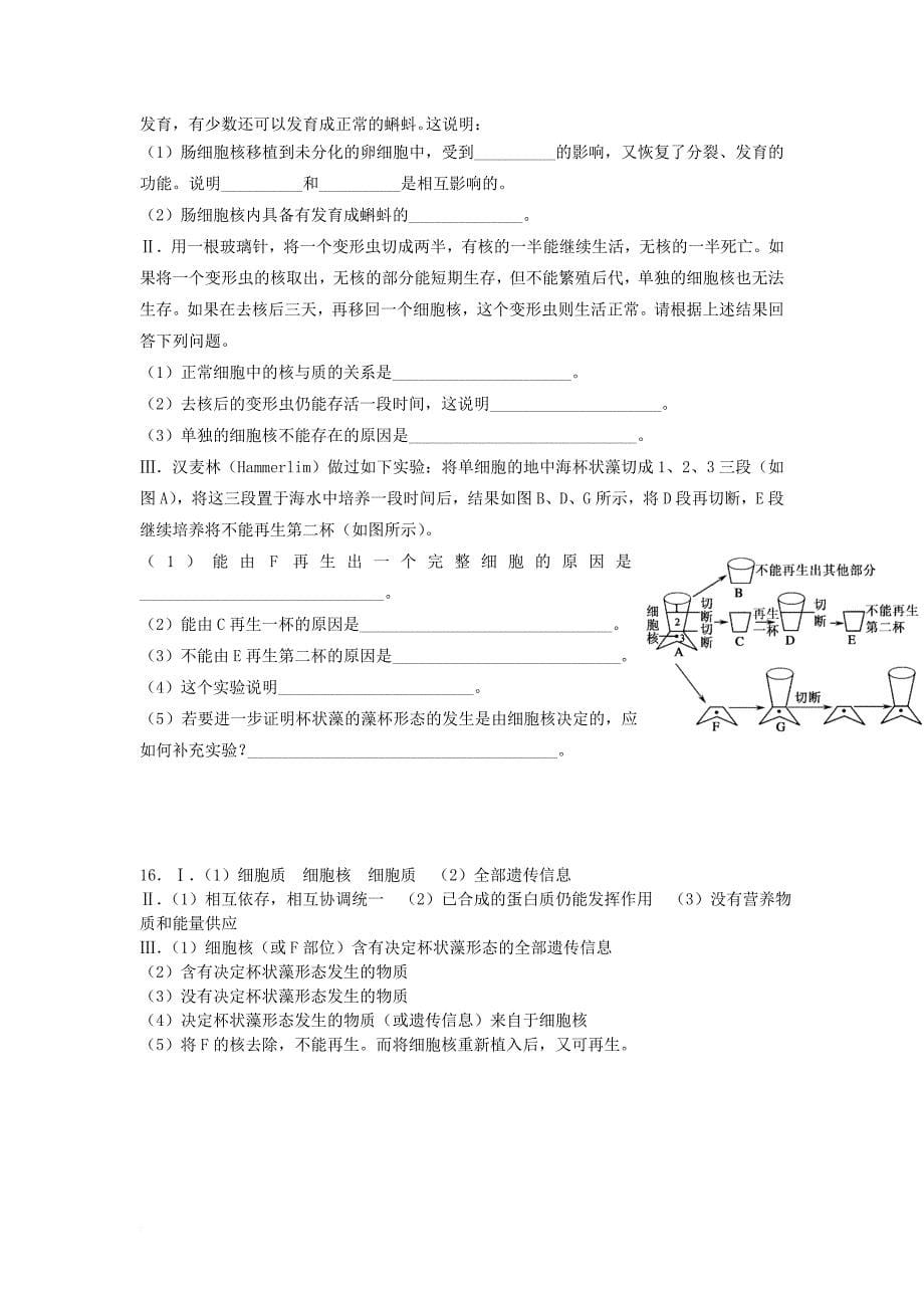 高中生物 第三章 细胞的基本结构 第三节 细胞核导学案 新人教版必修_第5页