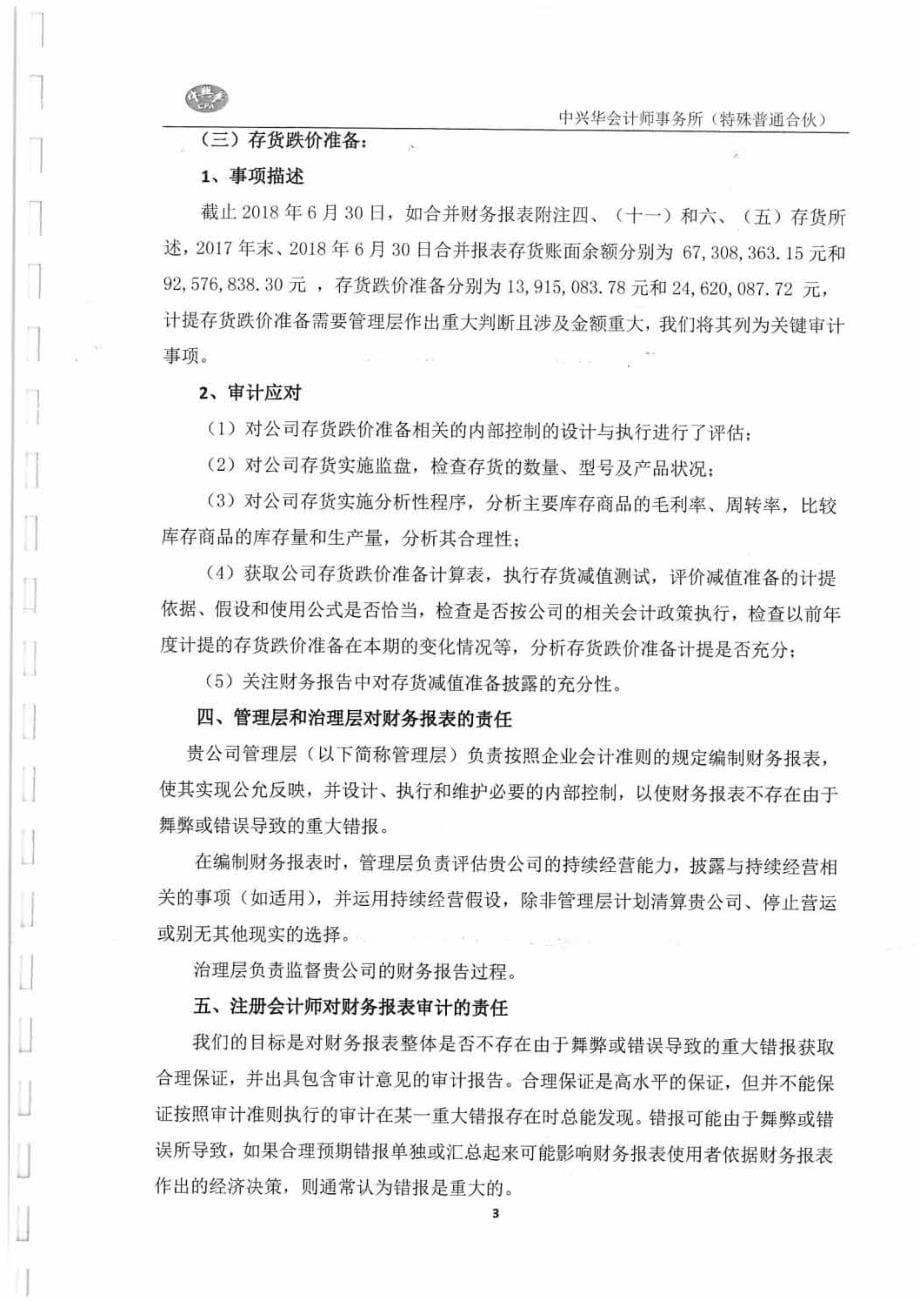 科力远：科力远混合动力技术有限公司审计报告_第5页