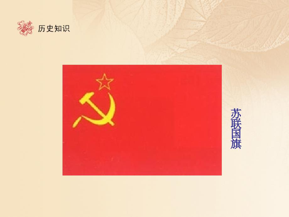 九年级历史下册 第5单元 社会主义国家的改革与演变 10 苏联的改革与解体课件 新人教版_第2页