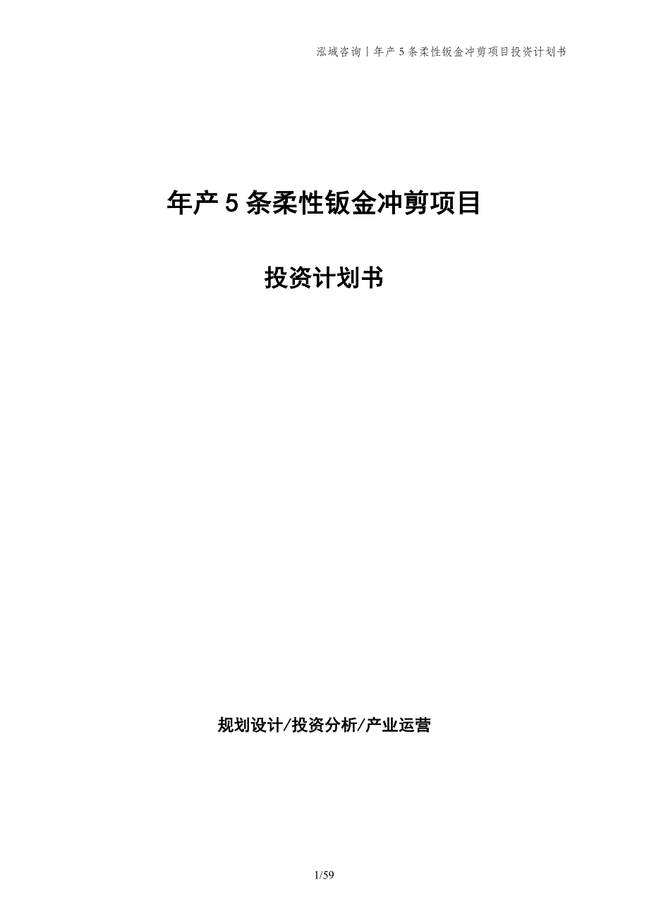 年产5条柔性钣金冲剪项目投资计划书_第1页