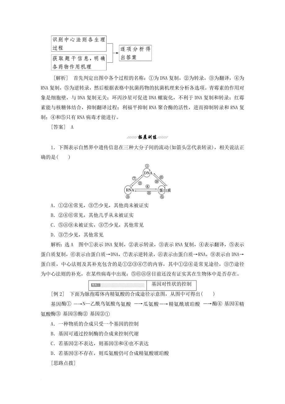 高中生物 第4章 基因的表达 第2节 基因对性状的控制学案 新人教版必修2_第5页