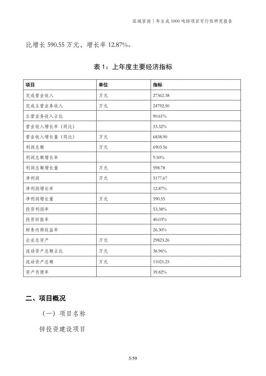 年生成1000吨锌项目可行性研究报告_第5页