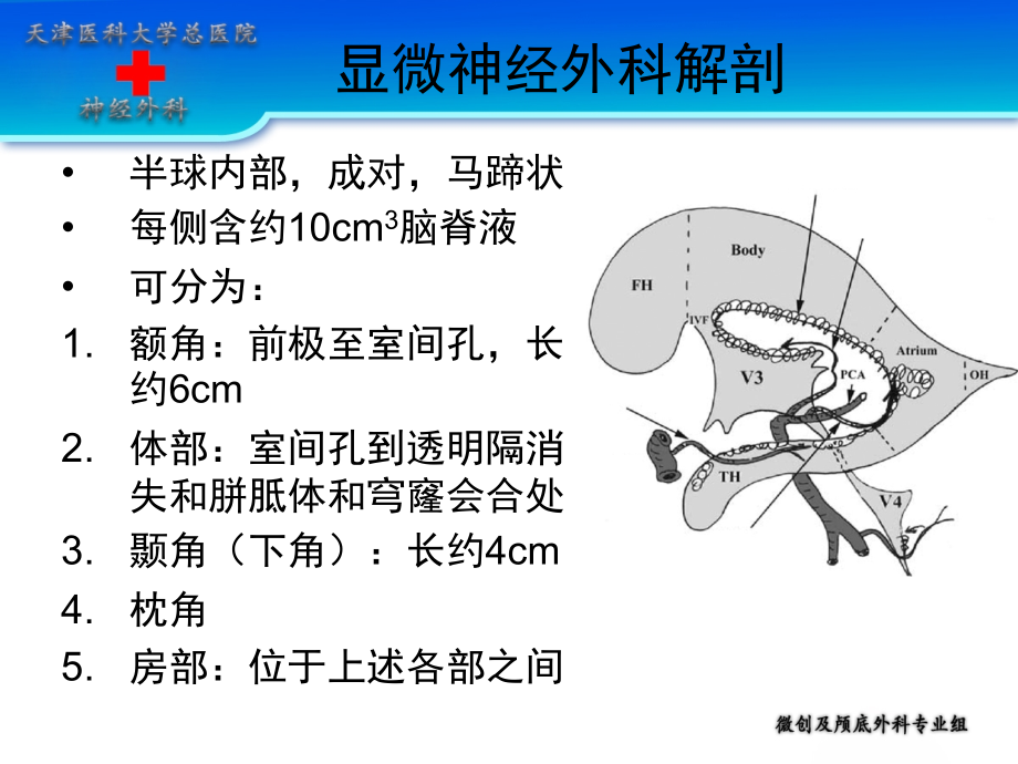 侧脑室手术入路及技术_第4页