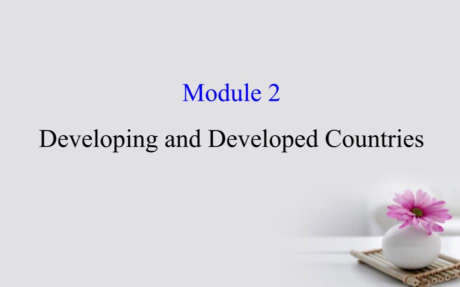 高考英语一轮复习 module 2 the renaissance developing and developed countries课件 外研版必修3_第1页