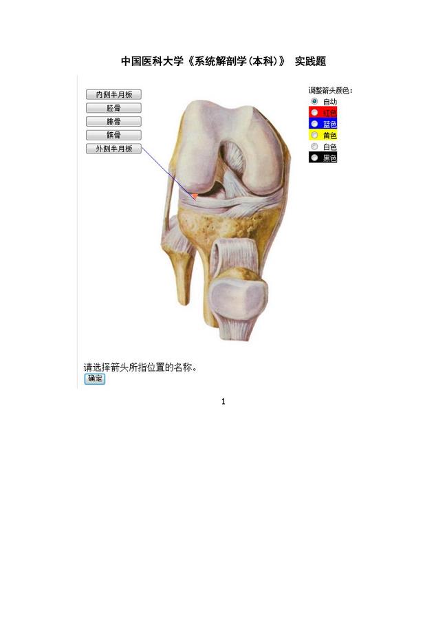 中国医科大学《系统解剖学(本科)》-实践题