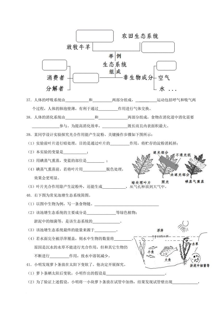 江苏省姜堰区2016_2017学年七年级生物上学期期末考试试题_第5页