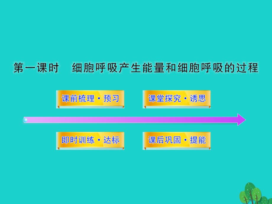 高中生物第四章光合作用和细胞呼吸4_3_1细胞呼吸产生能量和细胞呼吸的过程课件苏教版必修1_第1页