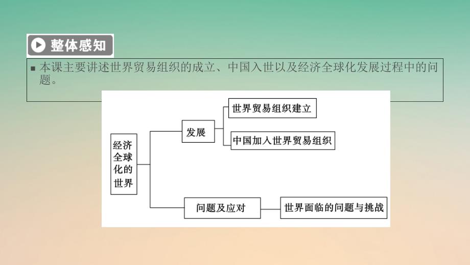 高中历史 专题8 当今世界经济的全球化趋势 第3课 经济全球化的世界课件 人民版必修2_第3页