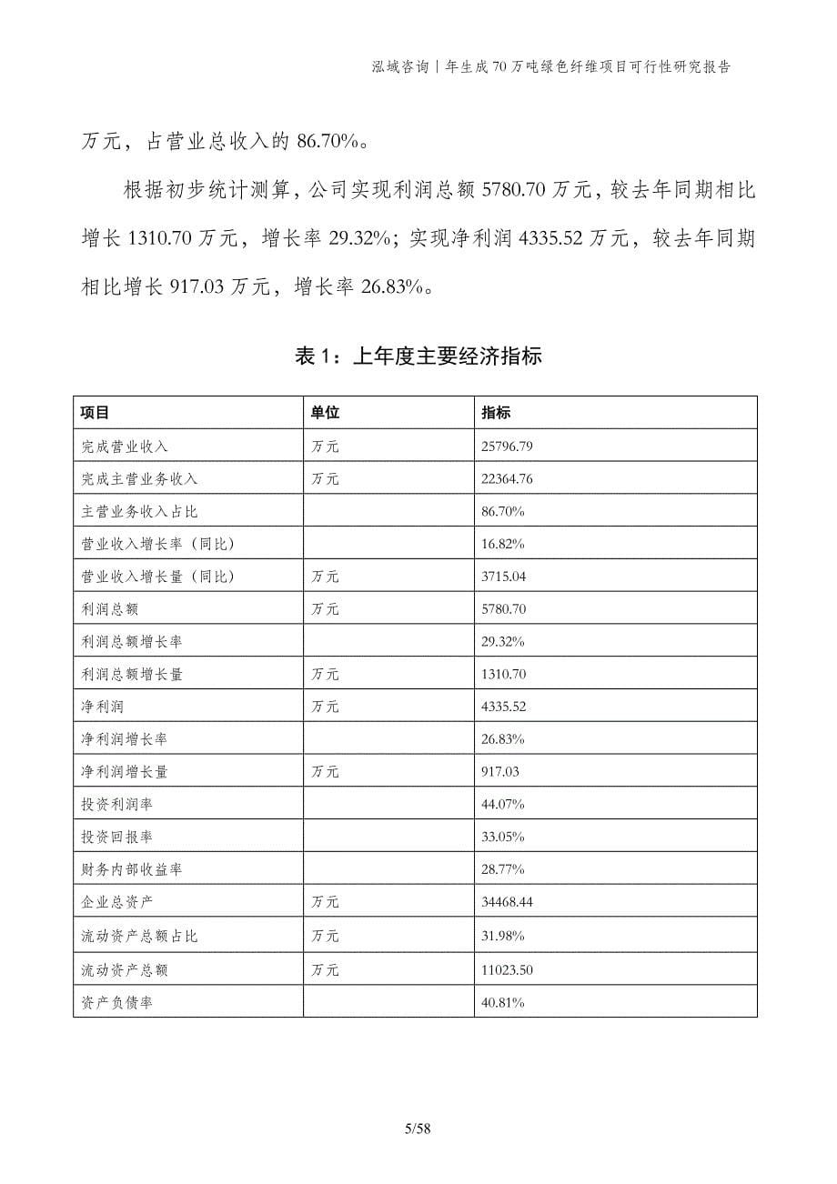 年生成70万吨绿色纤维项目可行性研究报告_第5页