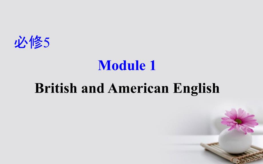 高考英语一轮复习 module 1 deep south british and american english课件 外研版必修5_第1页