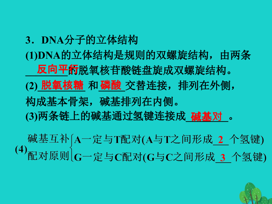 高考生物总复习 第4章 遗传的分子基础 第2节 dna的结构和dna的复制课件 苏教版必修2_第4页