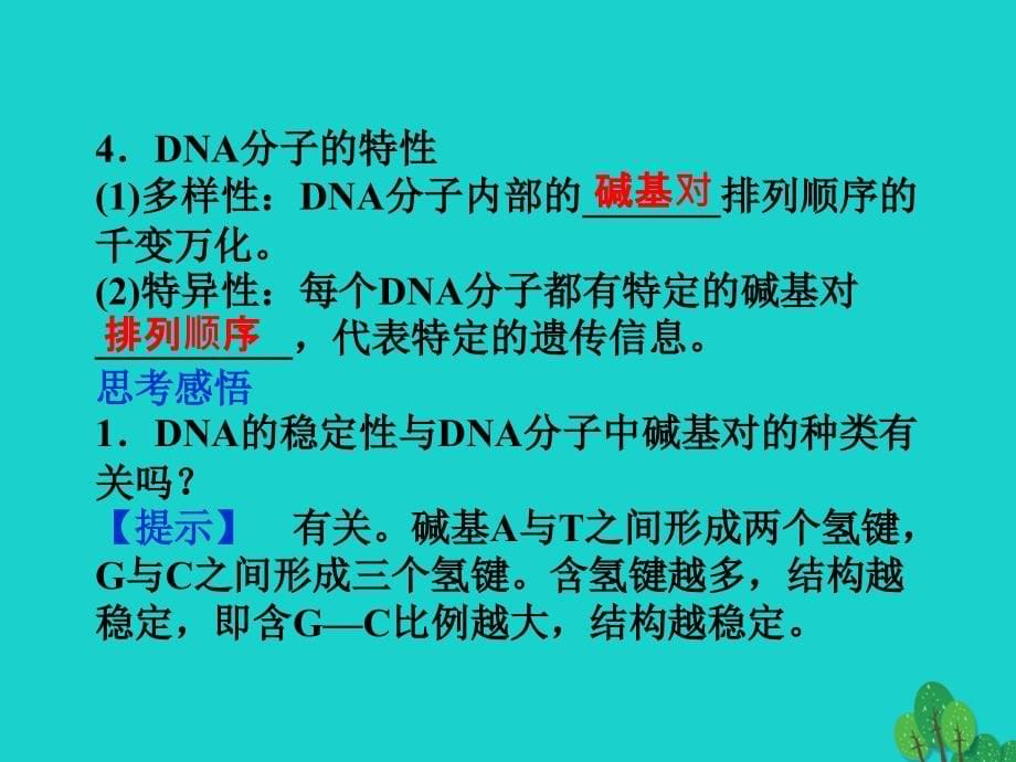 高考生物总复习 第4章 遗传的分子基础 第2节 dna的结构和dna的复制课件 苏教版必修2_第5页
