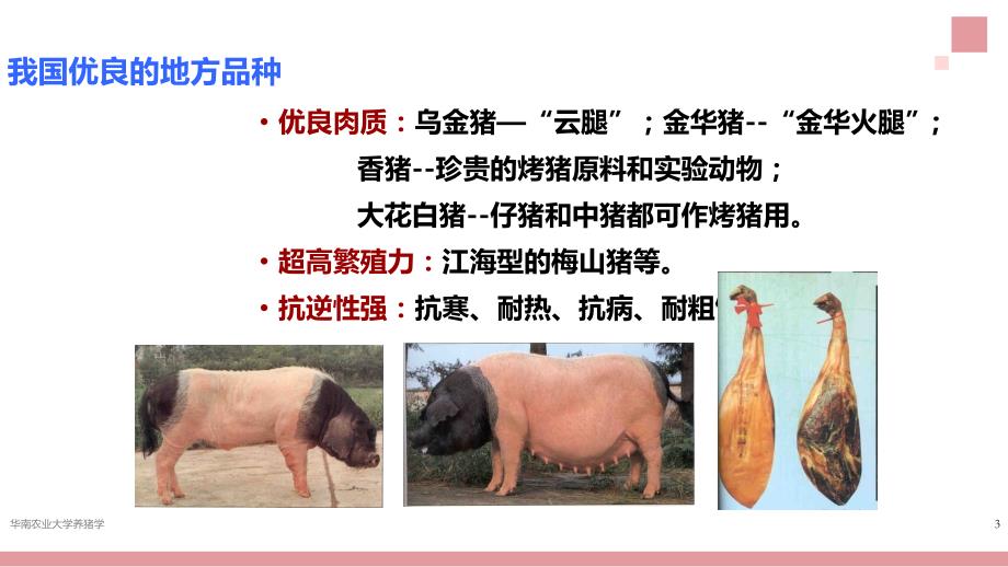 养猪学：我国的猪种资源及其利用_第3页