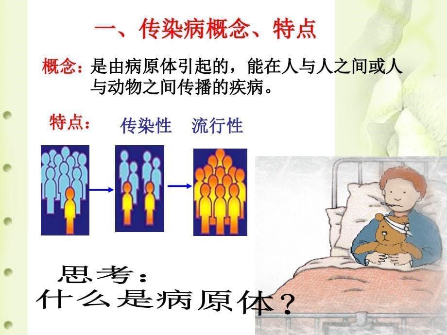 传染病与其预防课件_第5页