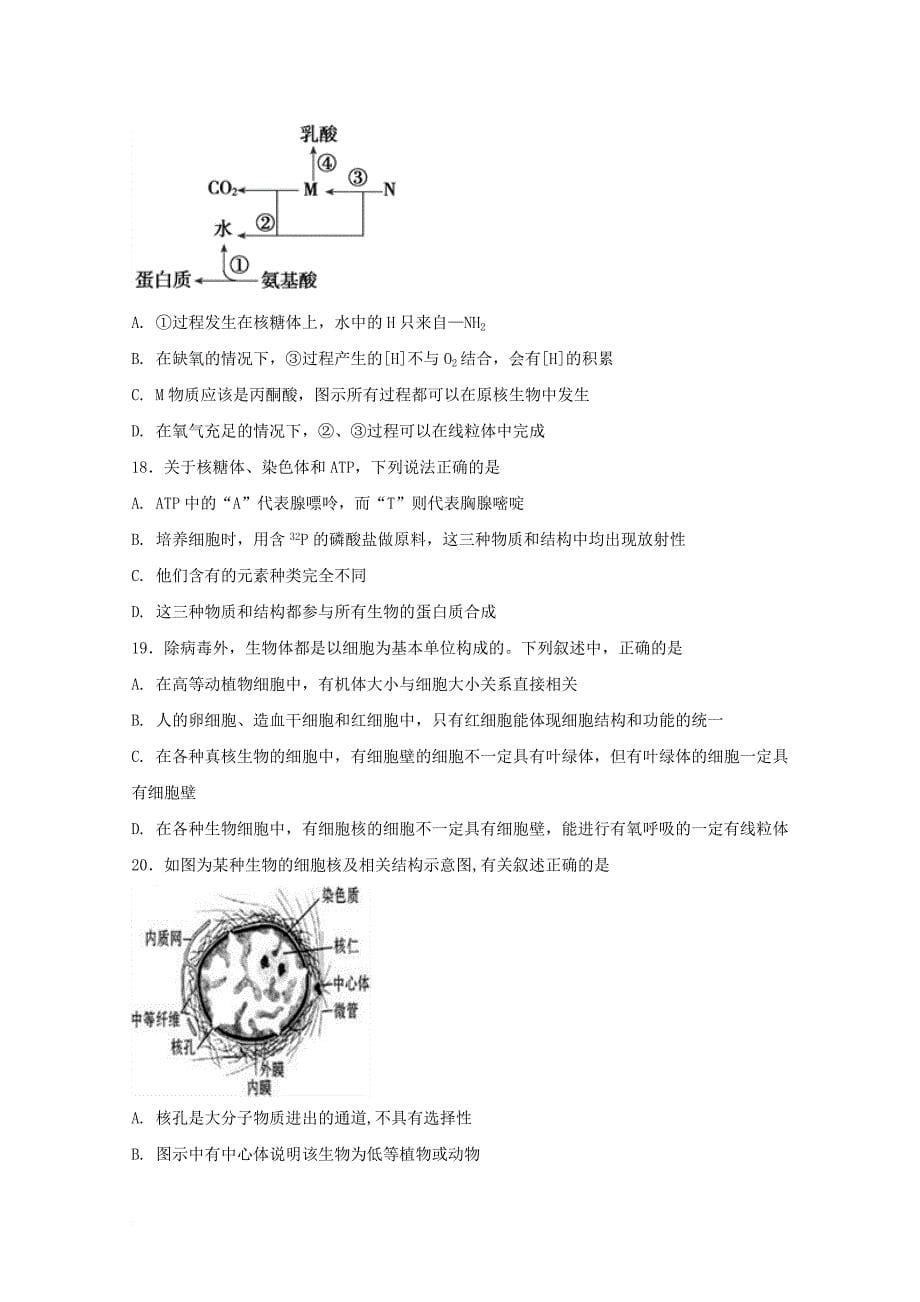 湖南省衡阳市2017_2018学年高一理综上学期第一次月考试题理科实验班_第5页