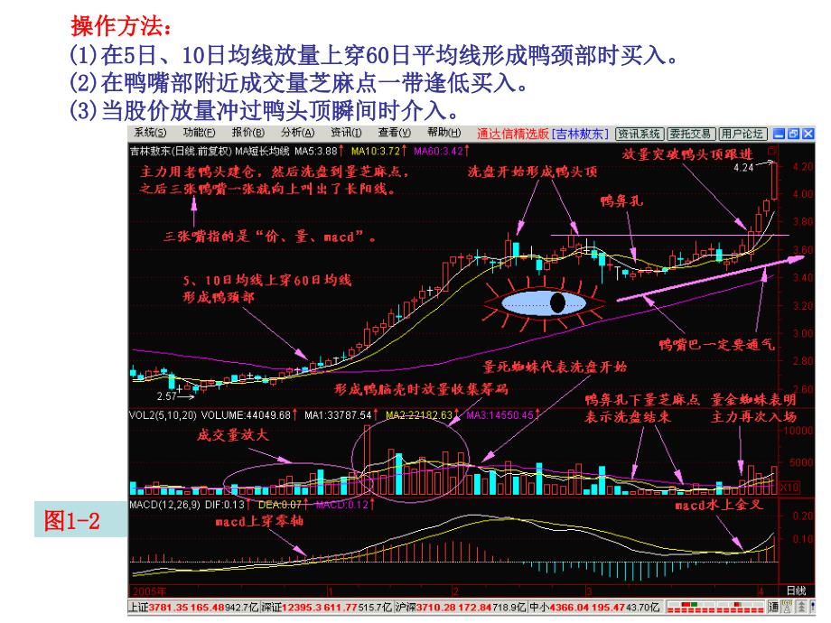 2011年1月4日疑似老鸭头股票精选_第2页