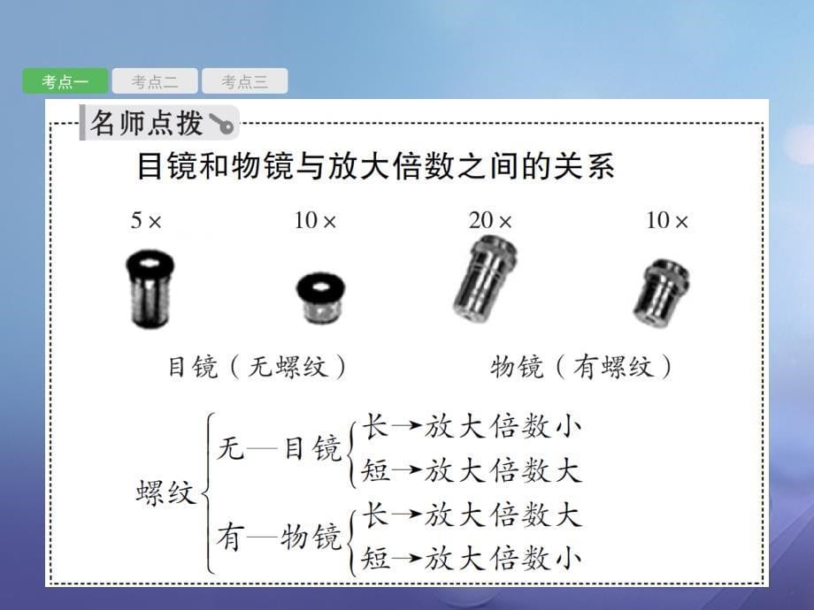 中考生物总复习 第二单元 生物体的结构层次课件_第5页