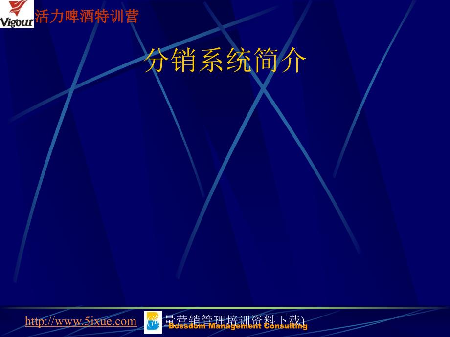 百事可乐“百事模式”.ppt_第2页